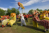 Lion dance performance (8302)