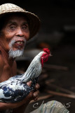The fighter and owner, Bedulu village _MG_2617.jpg