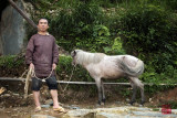 Farmer with his donkey, Ping An, China