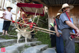 Hand carried sedan chair