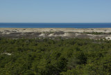 Race Point Beach