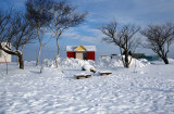 Winter In Hokkaido (Dec 09)