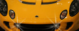 Lotus (Nov 07)