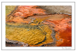 Hot Spring Colors