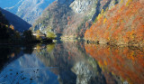 Fall in Pontet - Trentino