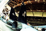tomcat
