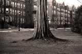 totem