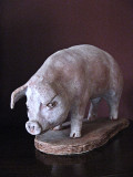 pig - oblique view - Clay/patina