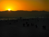 Dreaming California. Moving shadows...in the dark.