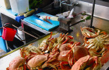 The Crab Station At Fishermans Wharf , San Francisco, CA