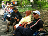 Retired Americans in a heated discussion on the benches at Central Park