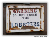 Lobster Alert!