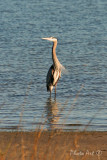 IMG_7419.JPG