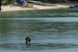 P406 A Vahine at the Matira Beach