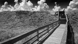 Guana River Park Boardwalk