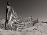 Fence and Posts