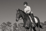 Late Afternoon Canter