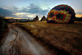 The fields where balloons grow at dawn