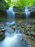 Tioga Falls Nature Preserve