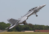 F/A-18F Super Hornet