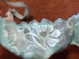 Lace Close up Aqua Bra