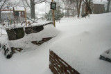 IMG_2719a.jpg