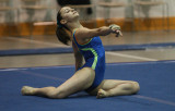 POETRY OF MOTION