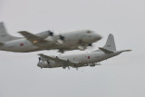 D3X_0826_034.JPG