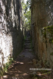 GP2169-trail.jpg