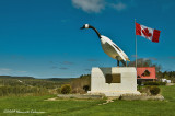 K202921-Wawa Goose.jpg