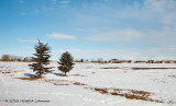 K219128-Airdrie.jpg