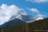 K219768a-Kananaskis.jpg
