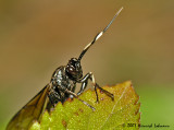 N1828-web.jpg