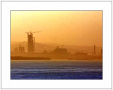 The Golden Glow of Morning