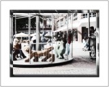 Carousel Cat on the Prowl