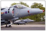 British Aerospace Harrier