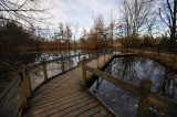 Lotus Pond Walkway v2