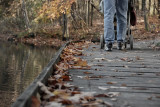 Autumn Walk