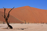 Deadvlei