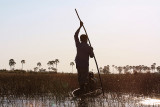 On a Mokoro, Okavango Delta