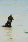 Collecting seaweed on Nungwi Beach