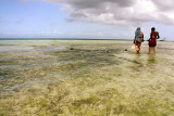 Collecting seaweed on Nungwi Beach