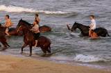 Horses in Lake Malawi