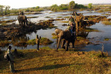 Riding the elephants into the Zambezi