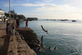 Diving into the Stone Town Harbour