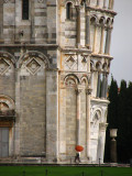 Pisa