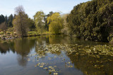 Botanic garden
