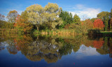 Autumn in the city