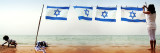 My flag
