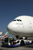 EMIRATES A380 DXB RF IMG_0046.jpg